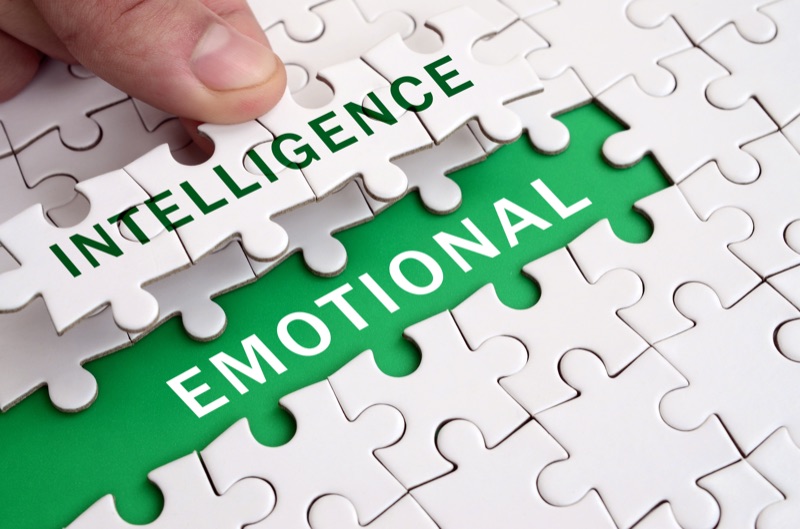 Emotionale Intelligenz - Eine Definition mit Hilfe der einzelnen Bausteine